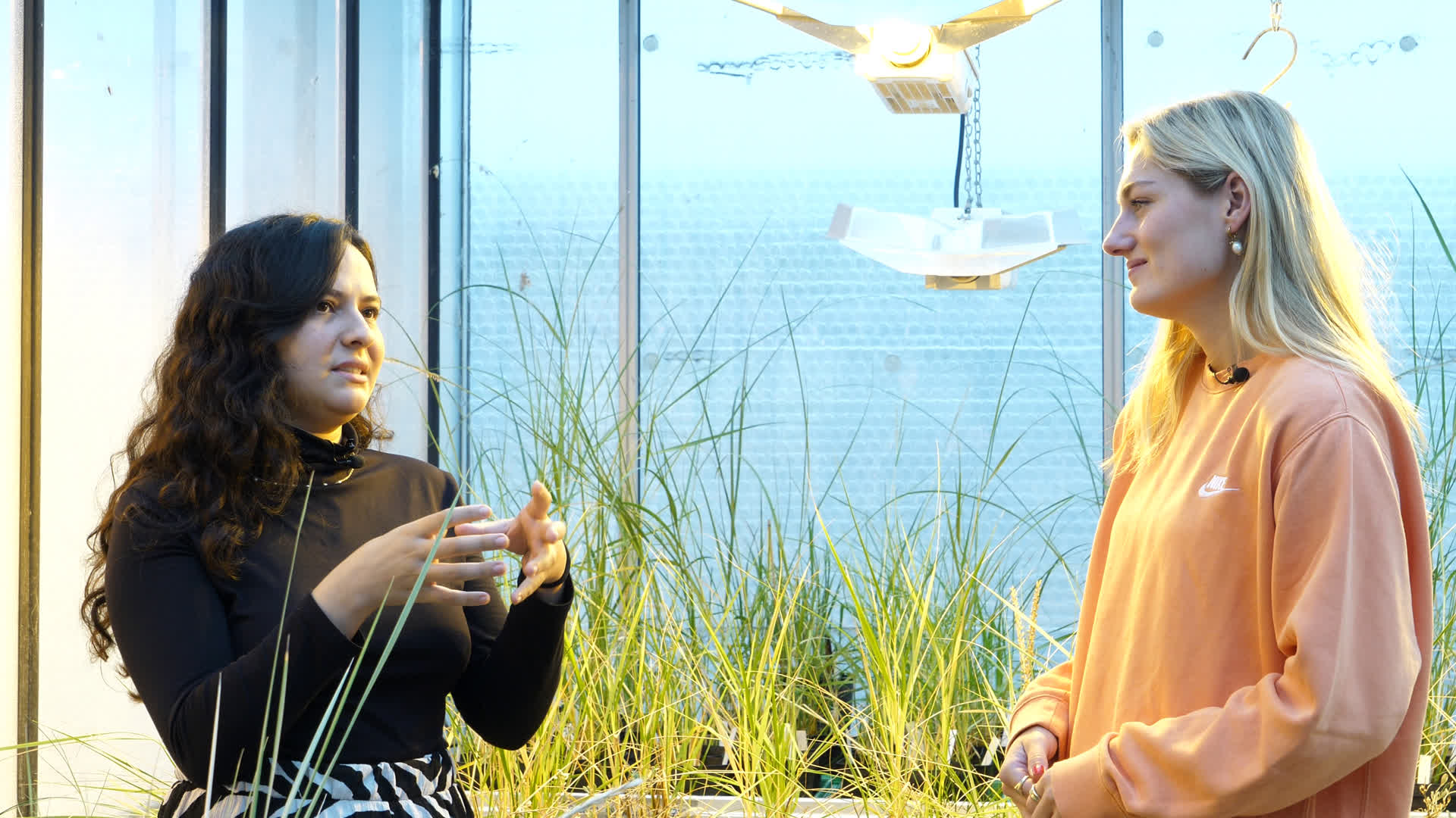 Video: Prof. Dr. Kai Jensen gibt einen Einblick in die Biodiversität und Biologische Ressourcen