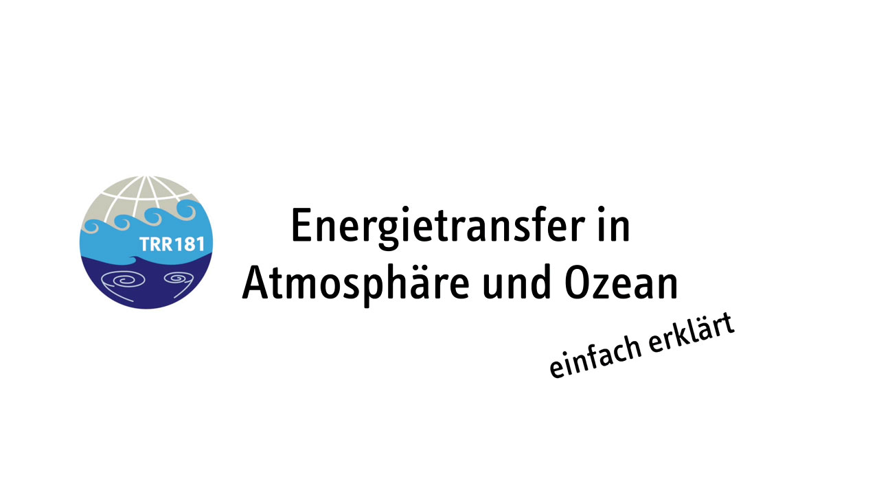 Video: Prof. Dr. Kai Jensen gibt einen Einblick in die Biodiversität und Biologische Ressourcen