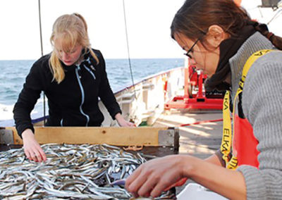 Studierende auf Forschungsschiff mit Fischfang