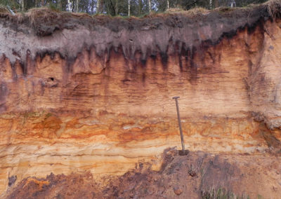 Sedimentschichten