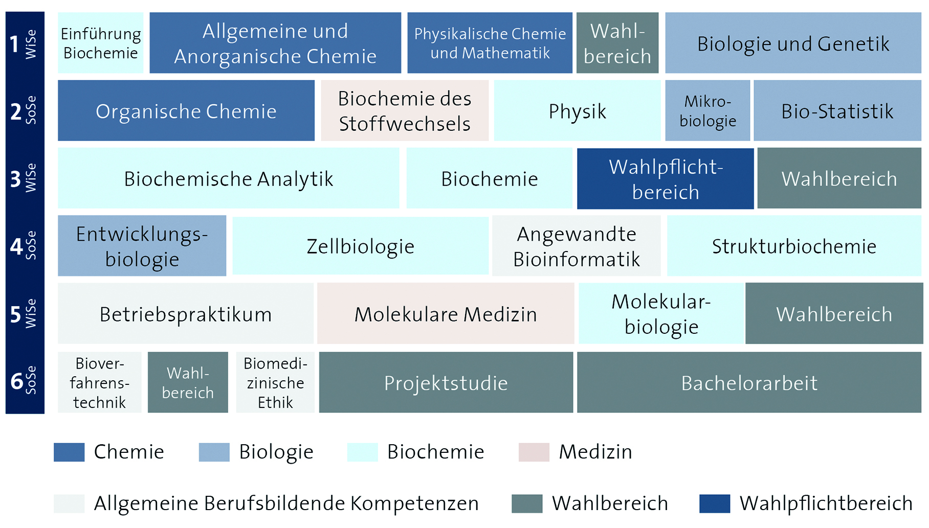 Grafische Darstellung des Studienverlaufsplans - Alle Details im Text darunter