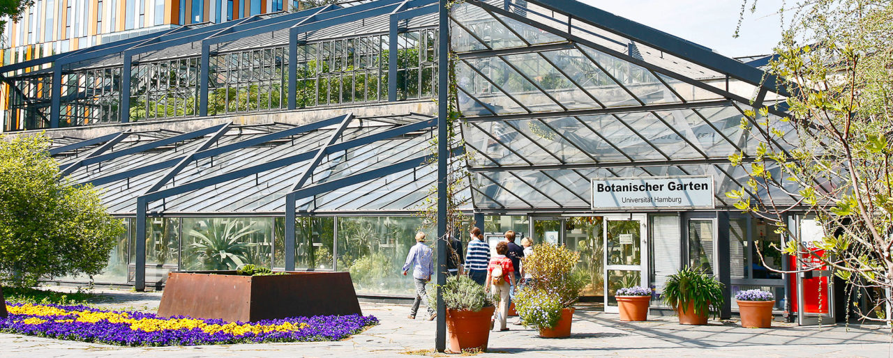 40+ Pflanzenforscher Unterwegs In Der Schule Und Im Botanischen