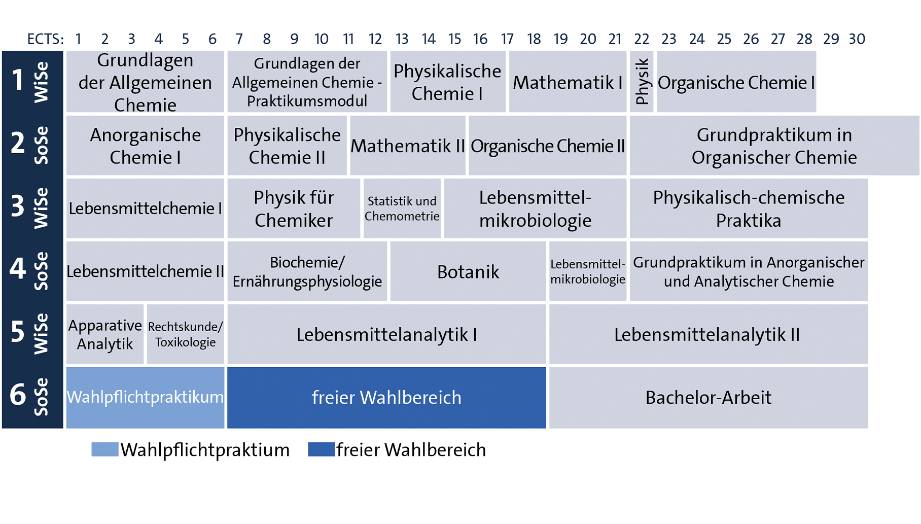 Grafische Darstellung des Studienverlaufsplans - Alle Details im Text darunter